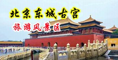 操美女屄逼中国北京-东城古宫旅游风景区